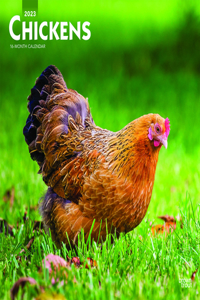 Chickens 2023 Square