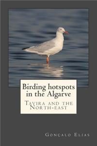 Birding Hotspots in the Algarve