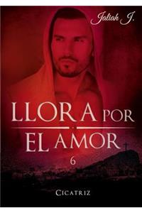 Llora por el amor 6