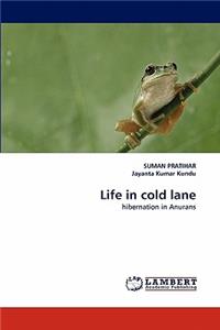 Life in Cold Lane