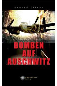 Bomben auf Auschwitz