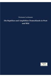 Reptilien und Amphibien Deutschlands in Wort und Bild
