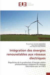 Intégration des énergies renouvelables aux réseaux électriques