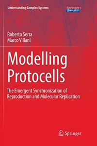Modelling Protocells