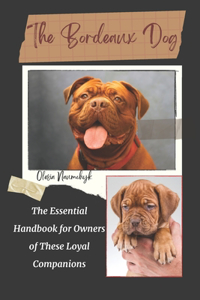 The Bordeaux Dog