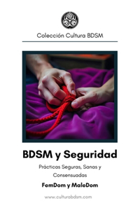 BDSM y Seguridad