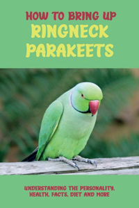 How To Bring Up Ringneck Parakeets