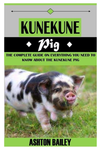 Kunekune Pig