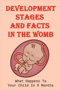 Development Stages And Facts In The Womb