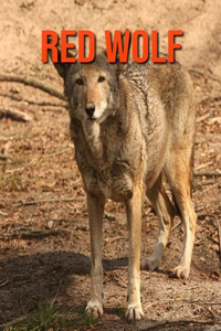 Red Wolf