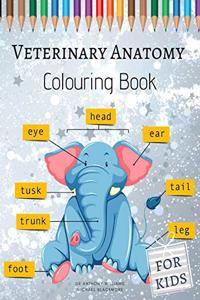 Veterinary Anatomy Colouring Book for Kids