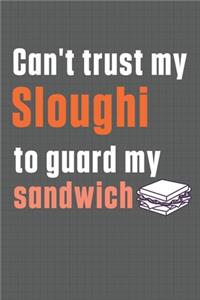 Can't trust my Sloughi to guard my sandwich