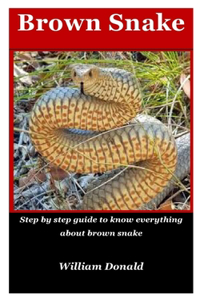 Brown Snake