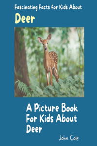 Picture for Kids About Deer