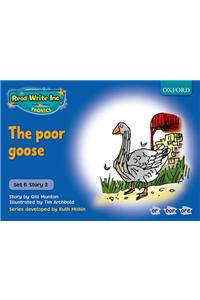 Read Write Inc. Phonics: Blue Set 6 Storybooks: The Poor Goose