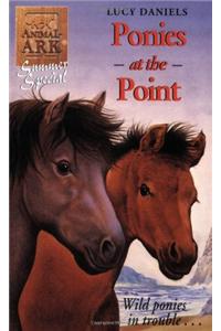Ponies at the Point