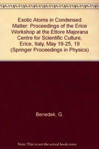 Exotic Atoms in Condensed Matter: Proceedings of the Erice Workshop at the Ettore Majorana Centre for Scientific Culture, Erice, Italy, May 19-25, 19 (Springer Proceedings in Physics)