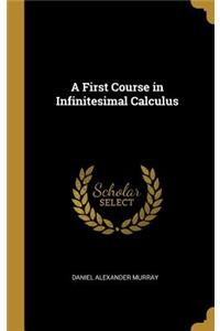 A First Course in Infinitesimal Calculus