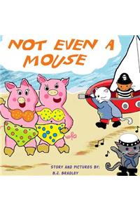 Not Even a Mouse