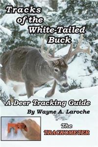 Tracks of the White-Tailed Buck