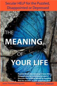 The Meaning of Your Life