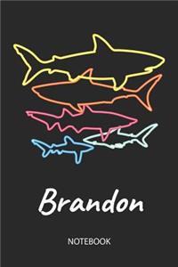 Brandon - Notebook