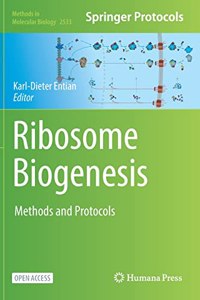 Ribosome Biogenesis