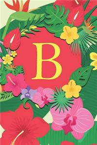 B