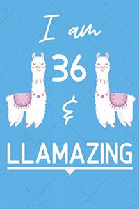 I Am 36 And Llamazing