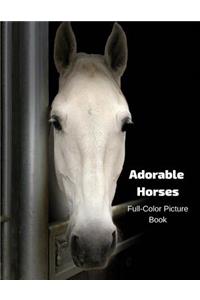 Adorable Horses Full-Color Picture Book