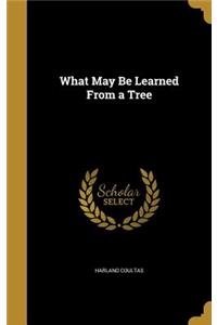 What May Be Learned from a Tree