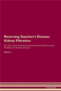 Reversing Gaucher's Disease: Kidney Filtration The Raw Vegan Plant-Based Detoxification & Regeneration Workbook for Healing Patients. Volume 5