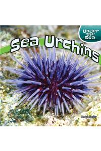 Sea Urchins