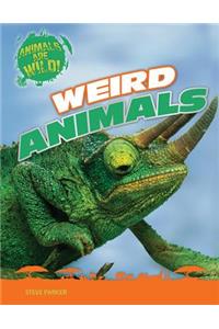 Weird Animals