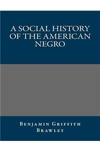A Social History of the American Negro