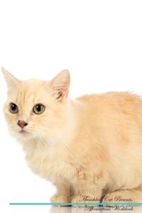Munchkin Cat Affirmations Workbook Munchkin Cat Presents