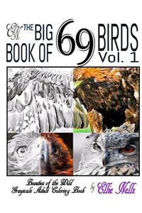The Big Book of 69 Birds