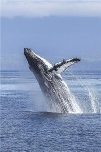 Humpback Whale Breaching Journal