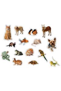 Pets: Photographic Shape Stickers