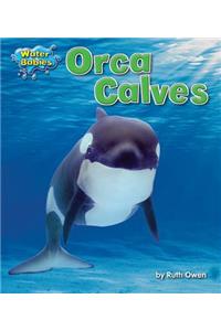 Orca Calves