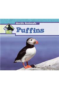 Puffins