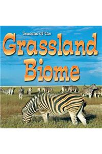 Seasons of the Grassland Biome