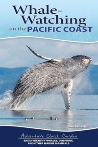 Whale-Watching on the Pacific Coast