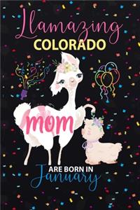 Llamazing Colorado Mom are Born in January