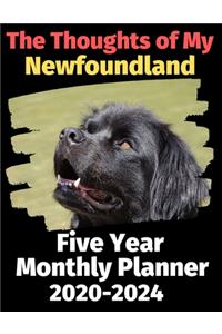 The Thoughts of My Newfoundland