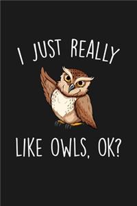 I Just Really Like Owls Ok