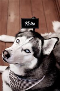 Siberian Husky Huskies Dog Pup Puppy Doggie Notebook Bullet Journal Diary Composition Book Notepad - Look Tired