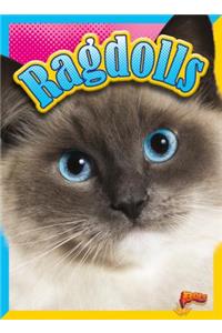 Ragdolls