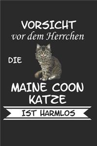 Vorsicht vor dem Herrchen die Maine Coon Katze ist Harmlos