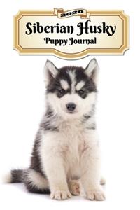 2020 Siberian Husky Puppy Journal